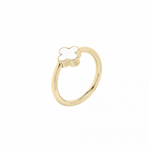 0105RG01 Ringe  PVD-Titan-Braun-Beschichtung PVD-Titan-Braun-Beschichtung