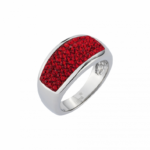 385R Ringe  poliert poliert