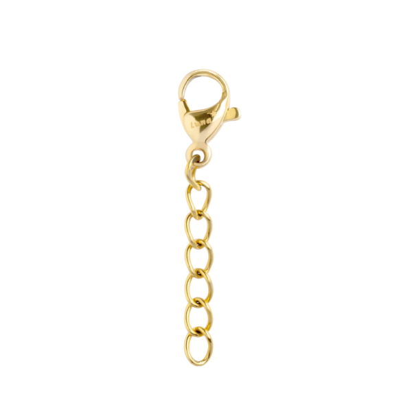 C960G Ketten  PVD-Echtgold-Beschichtung PVD-Echtgold-Beschichtung