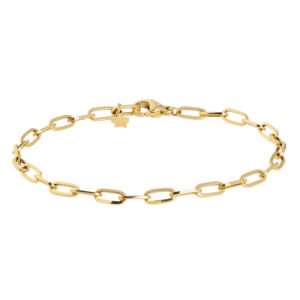 0162BG00 Armbänder  PVD-Echtgold-Beschichtung PVD-Echtgold-Beschichtung