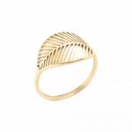 0086RG00 Ringe  PVD-Titan-Braun-Beschichtung PVD-Titan-Braun-Beschichtung