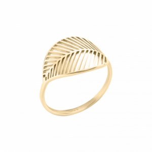 0086RG00 Ringe  PVD-Titan-Braun-Beschichtung PVD-Titan-Braun-Beschichtung