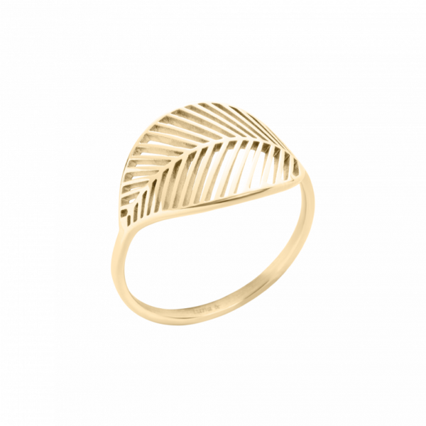 0086RG00 Ringe  PVD-Titan-Braun-Beschichtung PVD-Titan-Braun-Beschichtung