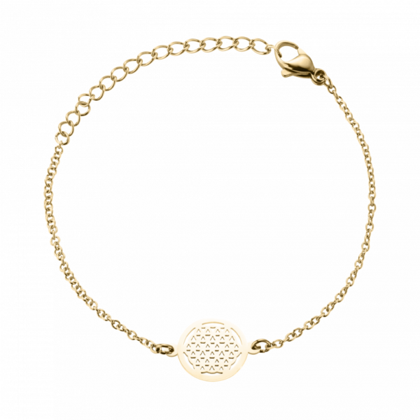 104BG Armbänder  PVD-Titan-Braun-Beschichtung PVD-Titan-Braun-Beschichtung