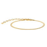 0169BG00 Armbänder  PVD-Echtgold-Beschichtung PVD-Echtgold-Beschichtung