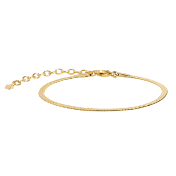 0169BG00 Armbänder  PVD-Echtgold-Beschichtung PVD-Echtgold-Beschichtung