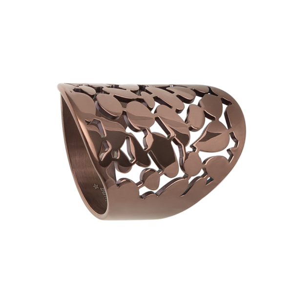 0038RB00 Ringe  PVD-Titan-Braun-Beschichtung PVD-Titan-Braun-Beschichtung