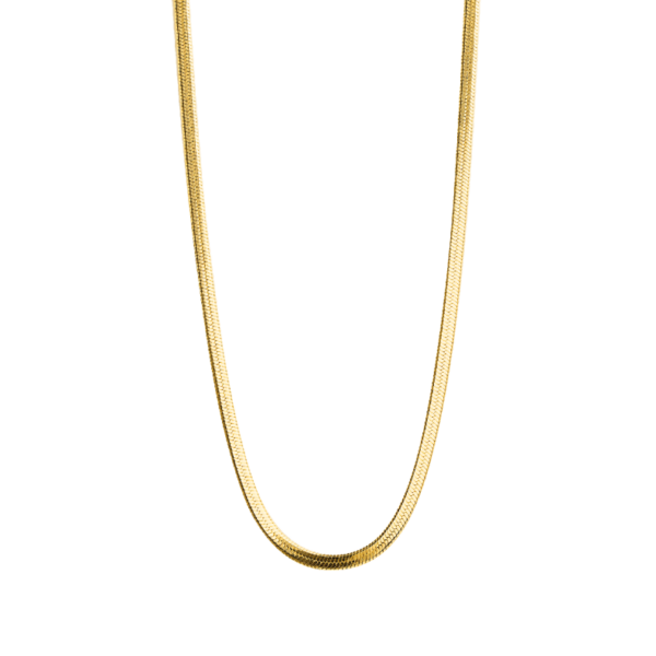 0169CG00 Collier  PVD-Echtgold-Beschichtung PVD-Echtgold-Beschichtung