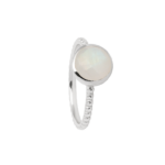 8002RE18 Ringe  Rhodium-Veredelung Rhodium-Veredelung