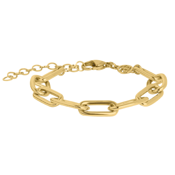 0179BG00 Armbänder  PVD-Echtgold-Beschichtung PVD-Echtgold-Beschichtung