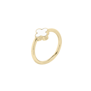 0105RG01 Ringe  PVD-Titan-Braun-Beschichtung PVD-Titan-Braun-Beschichtung