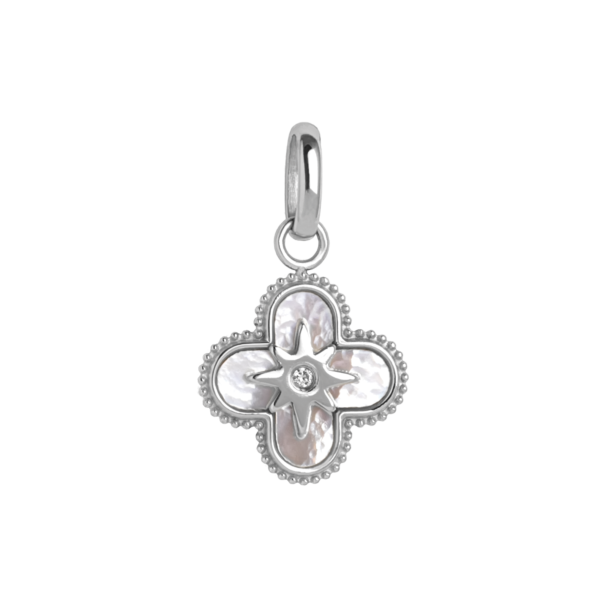 0241AE01 PVD-Rhodium-Beschichtung PVD-Rhodium-Beschichtung