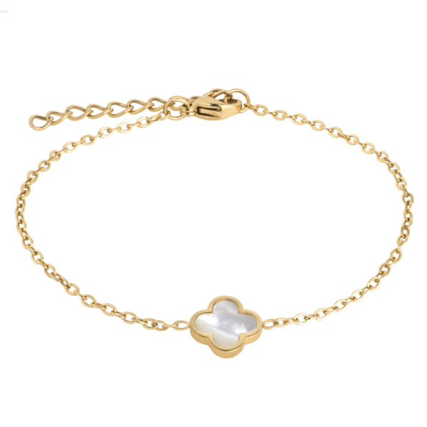 0241BG01   PVD-Echtgold-Beschichtung PVD-Echtgold-Beschichtung