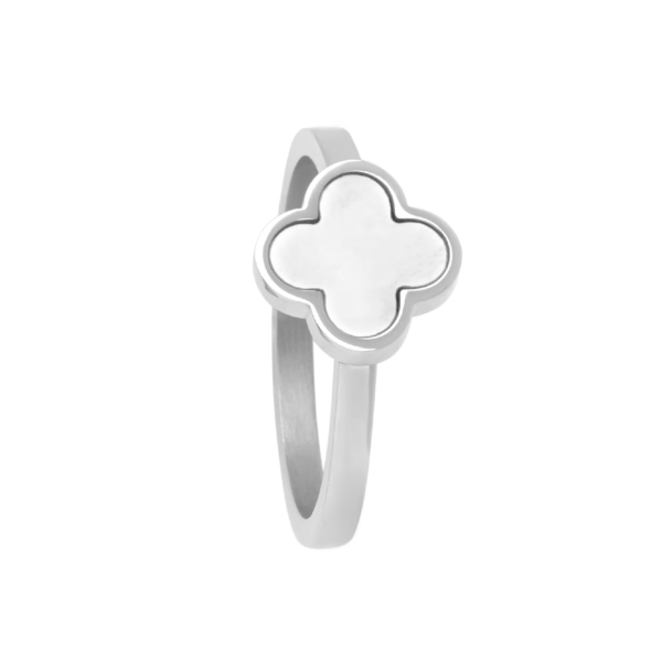 0241RE01   PVD-Rhodium-Beschichtung PVD-Rhodium-Beschichtung