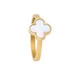 0241RG01   PVD-Echtgold-Beschichtung PVD-Echtgold-Beschichtung