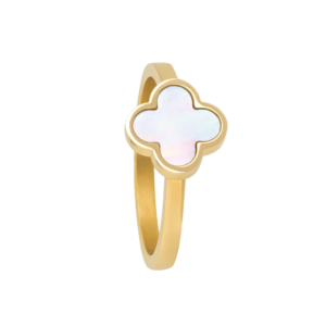 0241RG01 PVD-Echtgold-Beschichtung PVD-Echtgold-Beschichtung