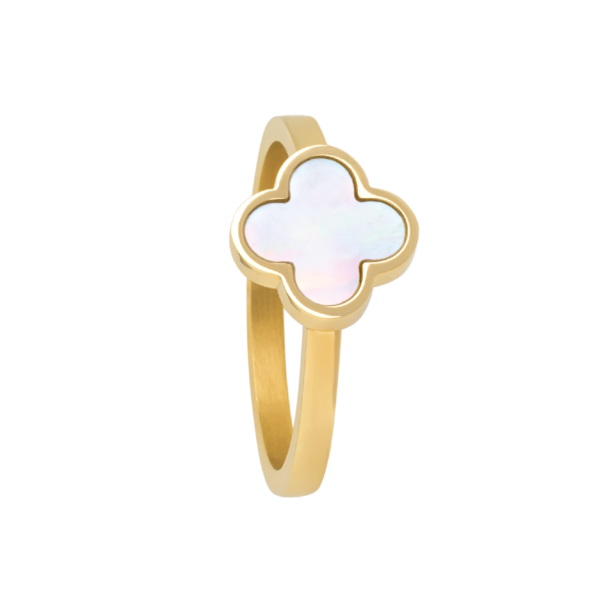 0241RG01   PVD-Echtgold-Beschichtung PVD-Echtgold-Beschichtung