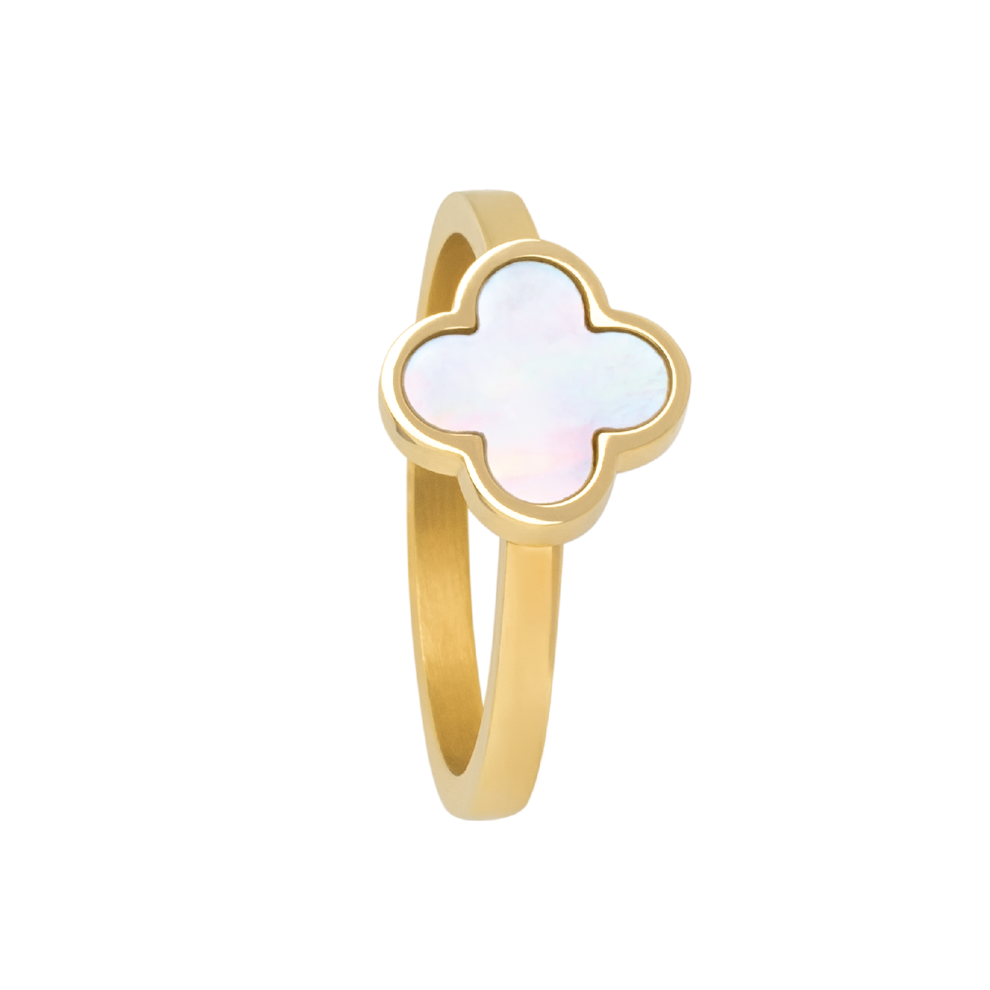 0241RG01 PVD-Echtgold-Beschichtung PVD-Echtgold-Beschichtung