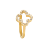 0242RG01 PVD-Echtgold-Beschichtung PVD-Echtgold-Beschichtung