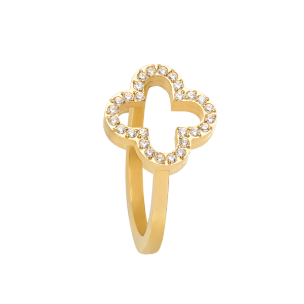 0242RG01   PVD-Echtgold-Beschichtung PVD-Echtgold-Beschichtung