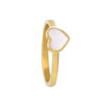 0247RG01 PVD-Echtgold-Beschichtung PVD-Echtgold-Beschichtung