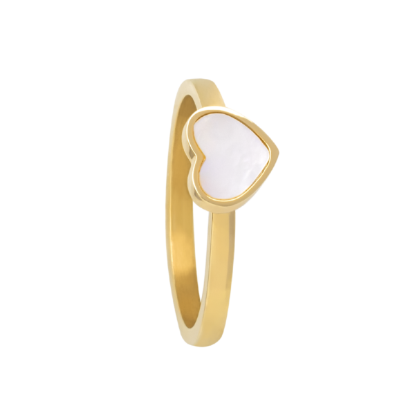 0247RG01   PVD-Echtgold-Beschichtung PVD-Echtgold-Beschichtung