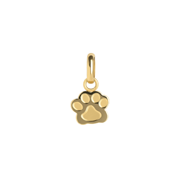 0250AG00   PVD-Echtgold-Beschichtung PVD-Echtgold-Beschichtung