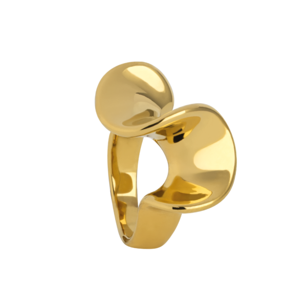 0256RG00 PVD-Echtgold-Beschichtung PVD-Echtgold-Beschichtung