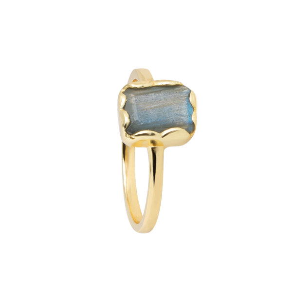 8006RG73   Echtgold-Veredelung Echtgold-Veredelung