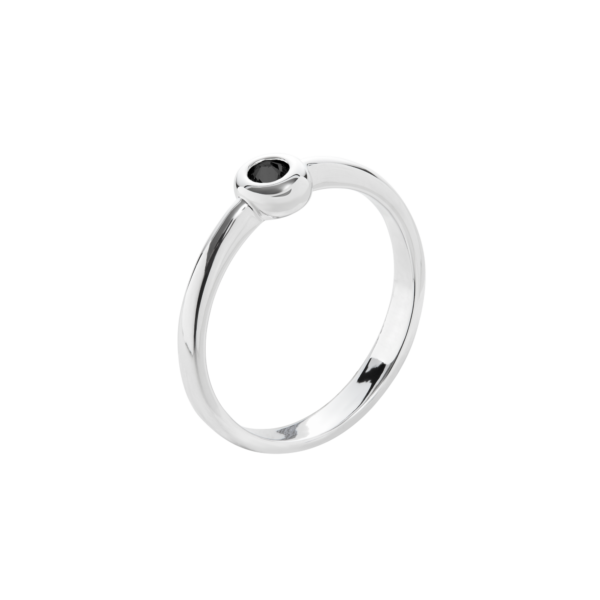 JS003RE04 Rhodium-Veredelung Rhodium-Veredelung