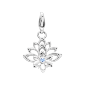 PS005PE06 Rhodium-Veredelung Rhodium-Veredelung