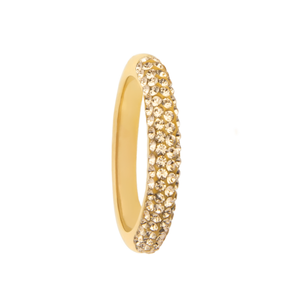 0207RG16   Echtgold-Veredelung Echtgold-Veredelung